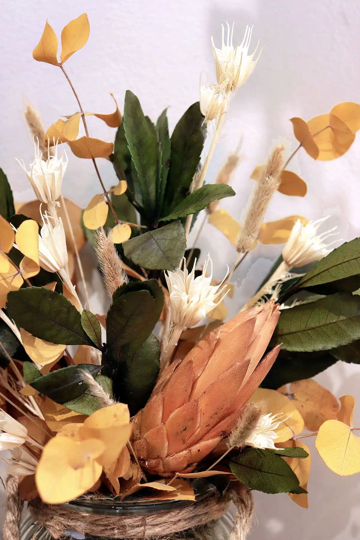 Centro Zoe - Imagen 2