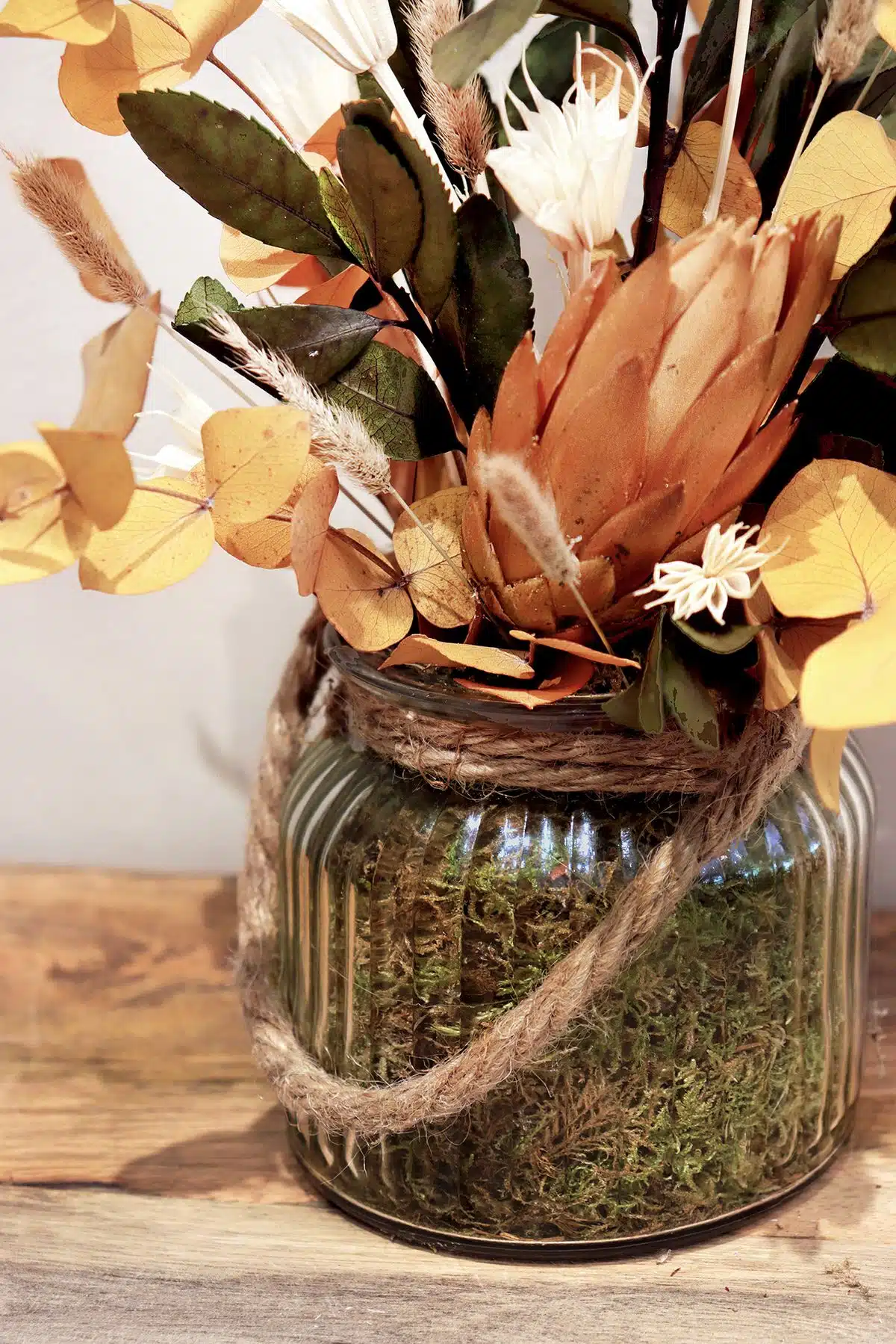 Centro Zoe - Imagen 3