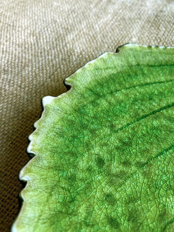 Hoja Hortensia - Imagen 3